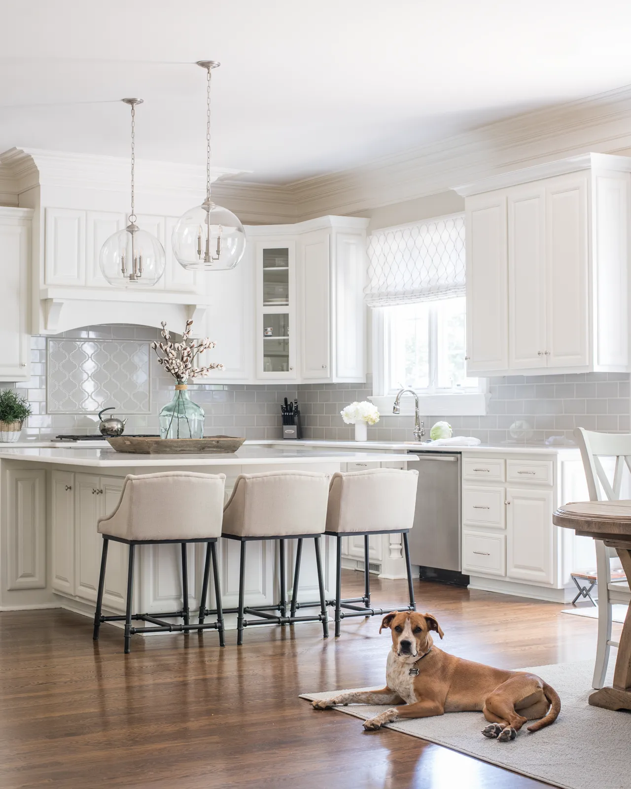 A light and airy white kitchen with an island, pendant lights, and dark wood floors. A brown and white dog rests on a rug in the foreground.