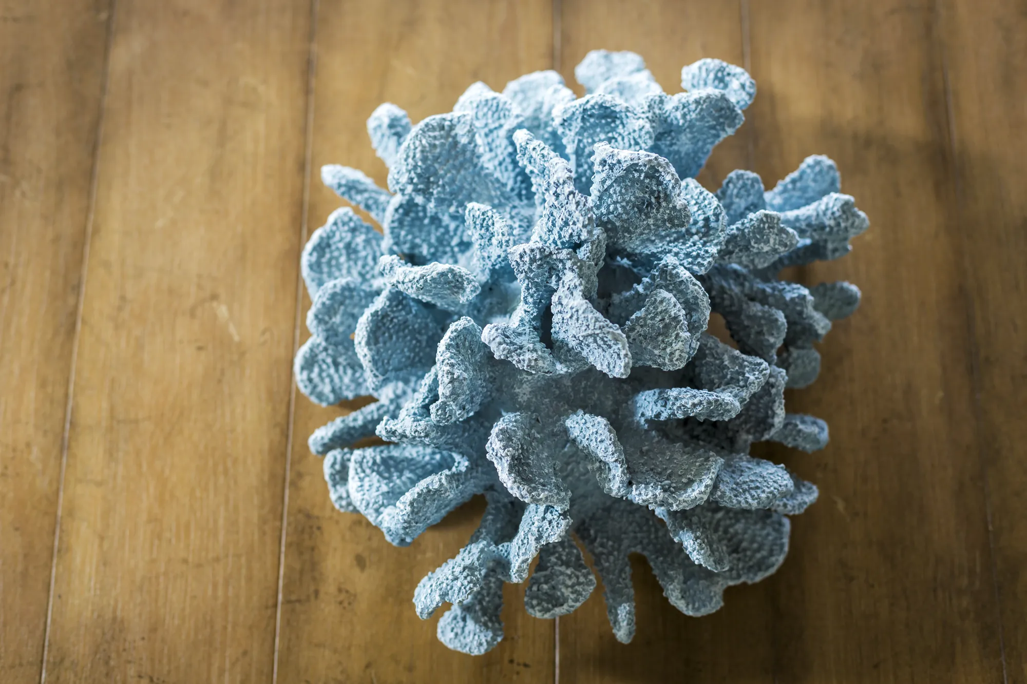 A piece of light blue decorative coral resting on a wooden surface, showing its rough texture and complex branches.