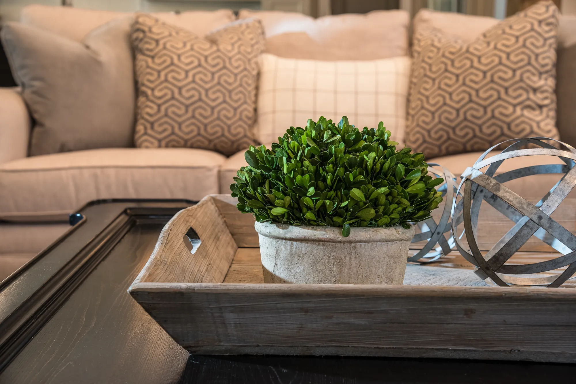 A decorative wooden tray sits on a dark coffee table, holding a vibrant green potted plant and two metallic, spherical sculptures. A beige sofa with patterned pillows is visible in the background.